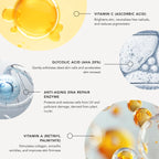 Illustration of skincare ingredients with labels on a white background