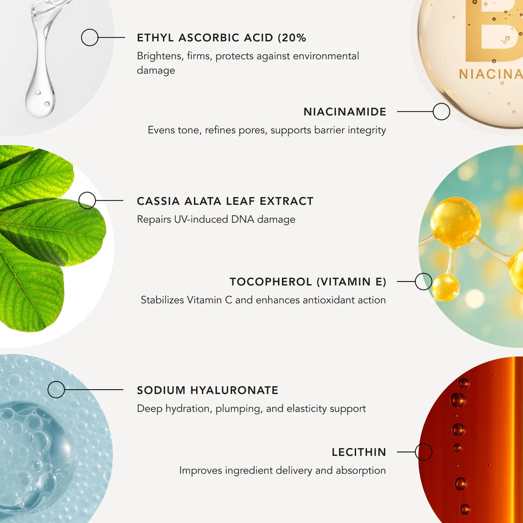 Infographic of skincare ingredients with images and text on a white background