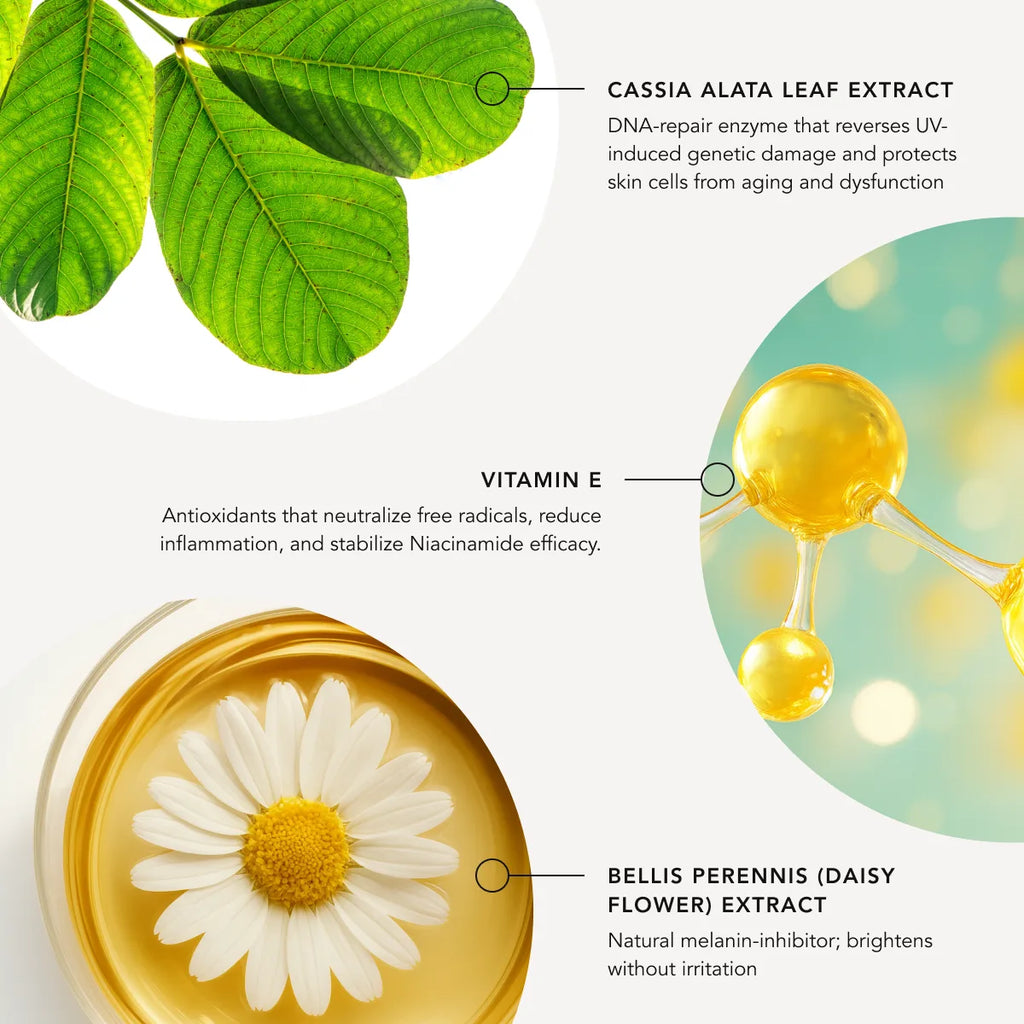 Illustration of Cassia Alata leaf extract, Vitamin E, and Bellis Perennis (daisy flower) extract with their respective benefits.