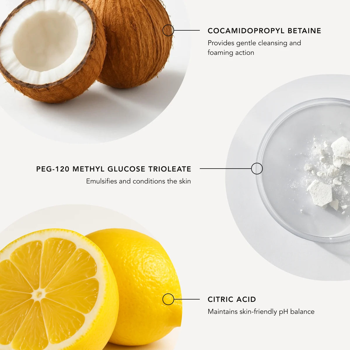 Coconut, lemon, and a bowl of white powder with text labels on a white background