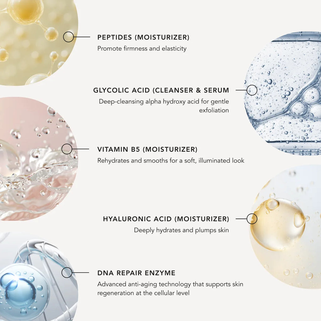 Diagram of skincare ingredients with labels and descriptions